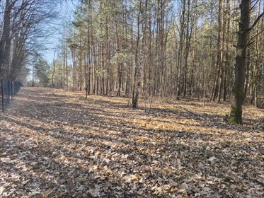 działka na sprzedaż 2442m2 działka Sokolniki-Las, Graniczna