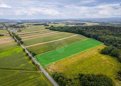 Na sprzedaż działka rolna 2,6 ha z dostępem do drogi wojewódzkiej działka Czułówek