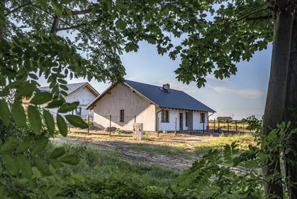 Dom parterowy przy lesie i jeziorze z dużą działką dom Nowa Wieś Zbąska