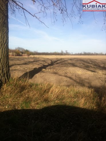Zapraszam do zakupu działki 1,8 ha pod inwestycję przy lotnisku działka Żaby