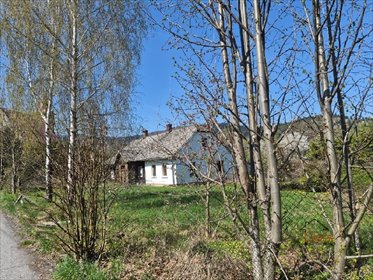 Dom z potencjałem, 5 pokoi, działka 20 arów dom Targanice