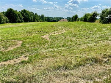 Działka inna na sprzedaż Łódź, Bałuty, Nowe Moskule, Strykowska 3 004m2 Foto 6