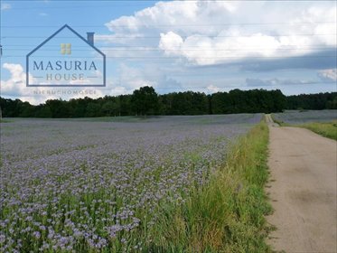 Działka 1453 m² pod dom w Szeplerzyźnie - polecam! działka Szeplerzyzna