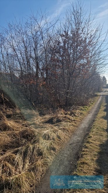 działka na sprzedaż 3784m2 działka Rzeszów, Przybyszówka, Krakowska