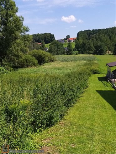 działka na sprzedaż 5300m2 działka Michałowice