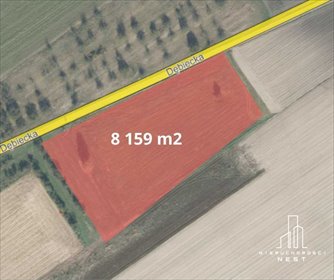 Działka 8159 m² z pozwoleniem na budowę w Kórniku polecam! działka Kórnik, Dębiecka Rancho