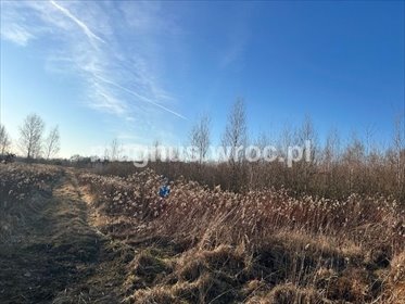 działka na sprzedaż 3580m2 działka Wrocław, Fabryczna, Jerzmanowo, okolice Żwirowej