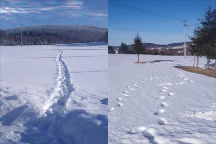 Działka rolna na sprzedaż Stary Gierałtów, Stronie Śląskie 30 300m2 Foto 2
