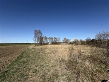 działka na sprzedaż 3966m2 działka Parlino