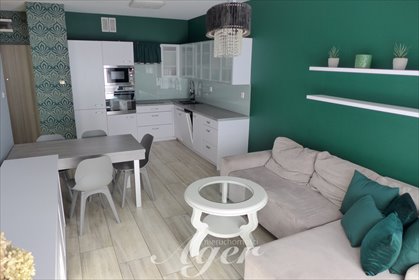 mieszkanie na wynajem 44m2 mieszkanie Zielona Góra, Stanisława Staszica