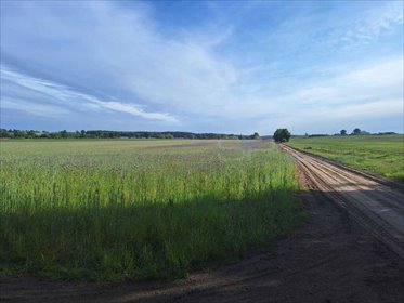 Działka 800 m² w Kiszkowie - spokój, lasy, szybki dojazd działka Kiszkowo