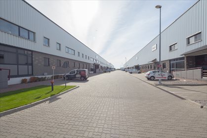 Wynajmę biuro 255 m² na Okęciu z pełnym dostosowaniem lokal użytkowy Warszawa, Szyszkowa