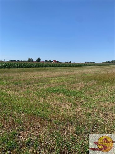 Działka rolna 14 424 m² z III klasy ziemi, spokojna okolica działka Przyłęk