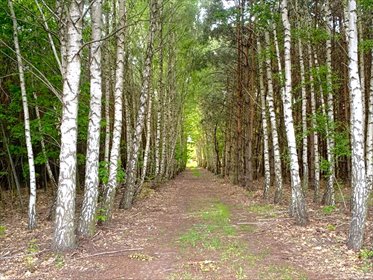 dom na sprzedaż 100m2 dom Podhulanka, Podhulanka