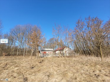 Urokliwy domek letniskowy na dużej działce w Trzciniec! dom Nagłowice, Trzciniec