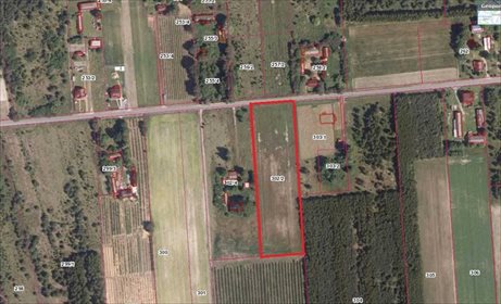 Działka budowlana na sprzedaż Horbów-Kolonia 10 000m2 Foto 6