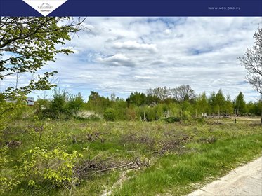 działka na sprzedaż 809m2 działka Przyjaźń, Leśna