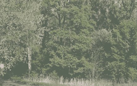 działka na sprzedaż 3732m2 działka Ruda Śląska, Godula, Aleja Młyńska