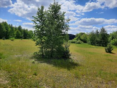 działka na sprzedaż 3000m2 działka Siennica