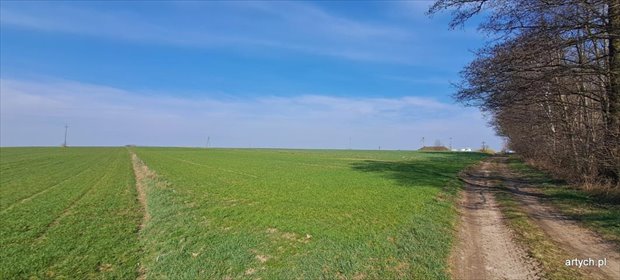 Atrakcyjna działka rolna 39 300 m² w Hołowienkach działka Hołowienki
