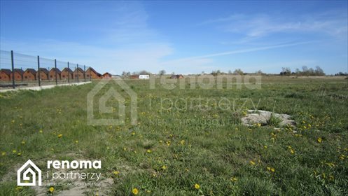 działka na sprzedaż 3150m2 działka Sarbinowo