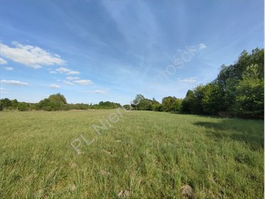 Działka inwestycyjna 30 152 m2 z mieszkaniami i usługami działka Żabia Wola