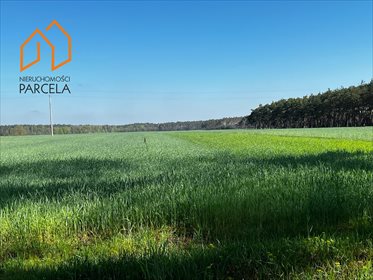 działka na sprzedaż 18340m2 działka Niesłabin