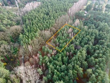 działka na sprzedaż 2442m2 działka Sokolniki-Las, Graniczna