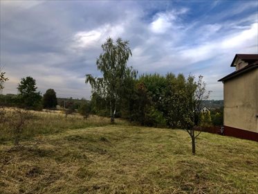 Działka budowlana na sprzedaż Jaworzno, Jeleń 4 316m2 Foto 2