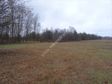 działka na sprzedaż 19600m2 działka Żółwin