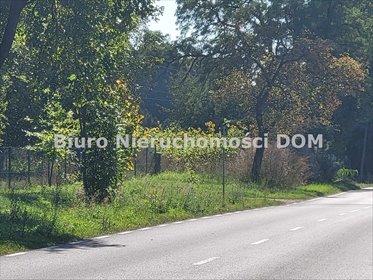 działka na sprzedaż 4520m2 działka Borowno, Kolonia