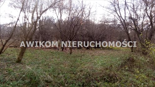 Do sprzedania działka siedliskowa 4964 m² w spokojnej okolicy działka Sokule