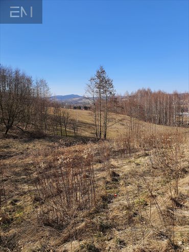 działka na sprzedaż 5000m2 działka Jazowa