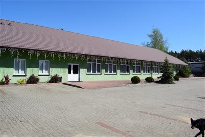 Lokal użytkowy na sprzedaż Janówek Pierwszy 480m2 Foto 4