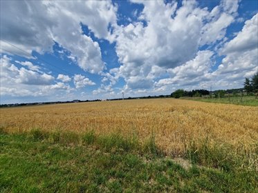 działka na sprzedaż 1448m2 działka Orzesze, Gardawice