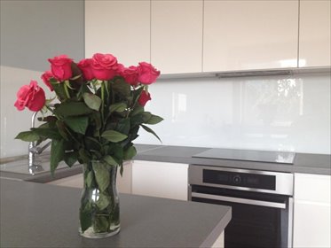 mieszkanie na wynajem 42m2 mieszkanie Poznań, Centrum, ogrodowa