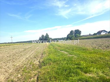 Działki budowlane w Kobielicach (900 m², blisko natury) działka Kobielice