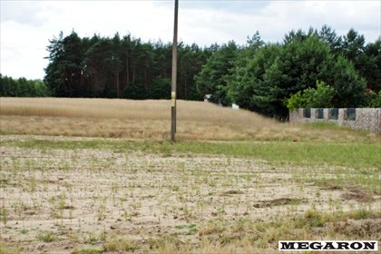 Działka rolna na sprzedaż Załęcze Małe 3 068m2 Foto 5