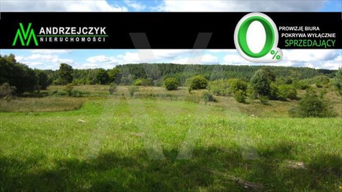 Działka siedliskowa na sprzedaż Pawłowo, Xxx 28 911m2 Foto 1