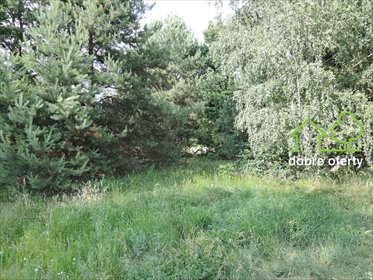 działka na sprzedaż 1949m2 działka Nieporęt, Nieporęt