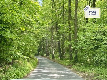 działka na sprzedaż 1416m2 działka Sosnówka, Czerwona Dolina