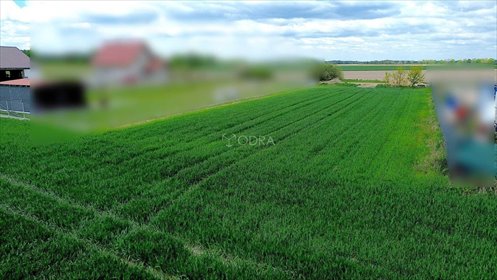 działka na sprzedaż 1330m2 działka Jelcz-Laskowice