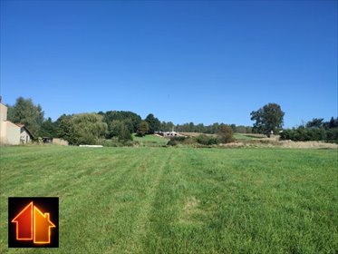 działka na sprzedaż 8580m2 działka Żory, Rój, Starowiejska