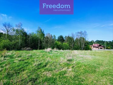 Działka budowlana na sprzedaż Teofilów 5 635m2 Foto 2