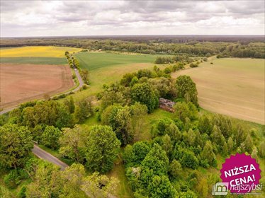 działka na sprzedaż 12900m2 działka Drawno, Kolonia Kośnik