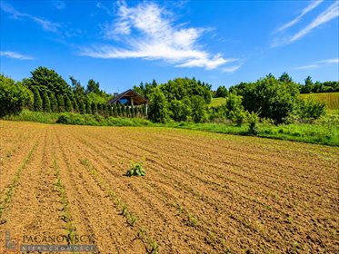 Działka budowlana 1120 m2 w Woli Zachariaszowskiej działka Wola Zachariaszowska