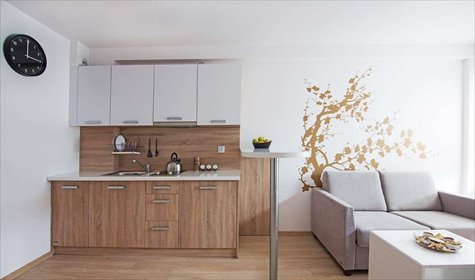 mieszkanie na wynajem 26m2 mieszkanie Wrocław, Śródmieście, Wybrzeże Ludwika Pasteura 18