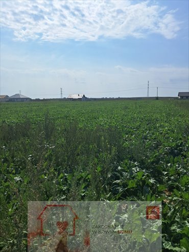 działka na sprzedaż 1594m2 działka Puchaczów