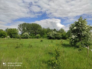 Działka pod bazę kajakową w Pomiechowie - polecam! działka Pomiechowo