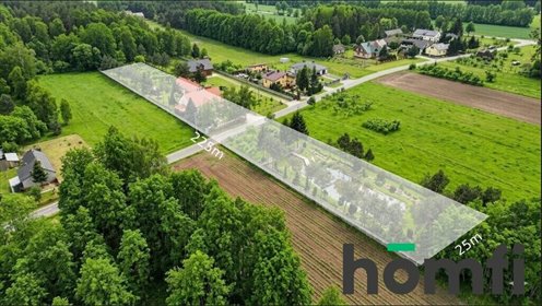 Dom z dużym potencjałem i stawem, 17 000 m2, Ciepielów dom Ciepielów-Kolonia